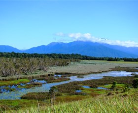 Eubenangee Swamp National Park - Sunshine Coast Tourism